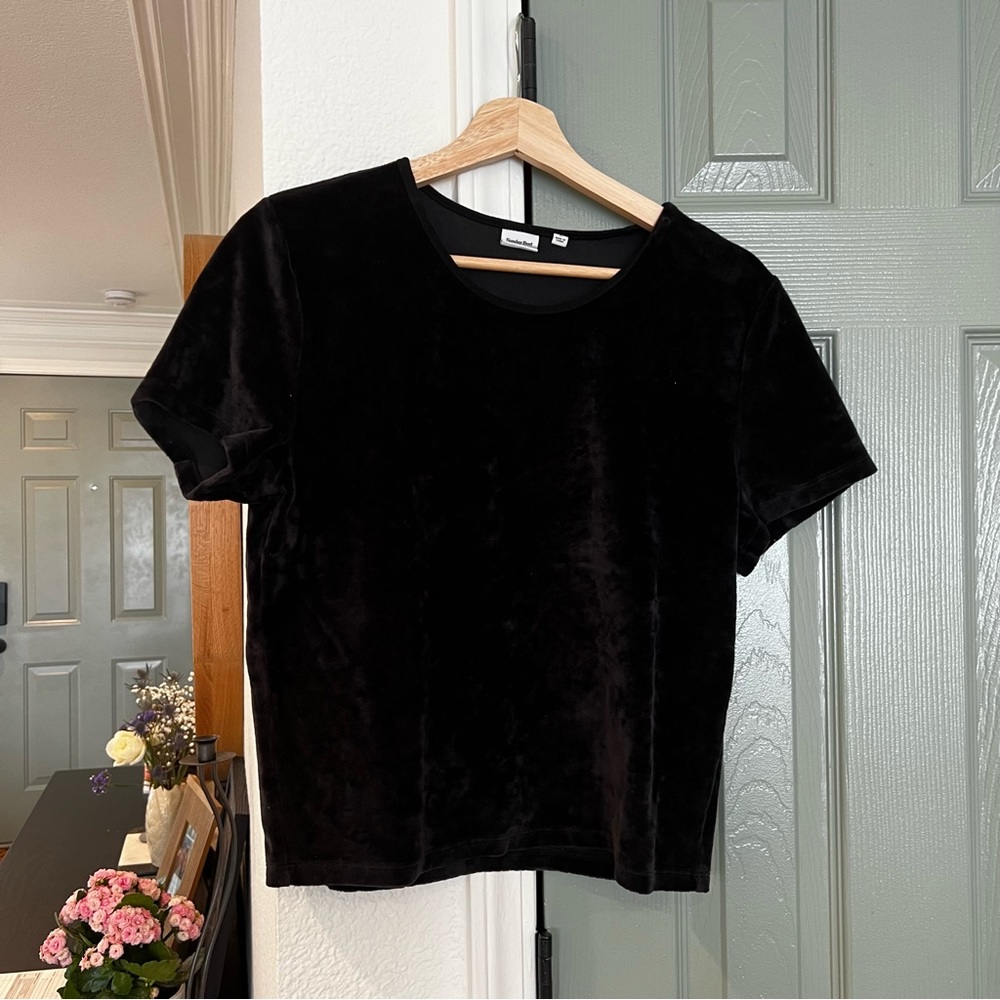 Aritzia Sunday Best Velour Top